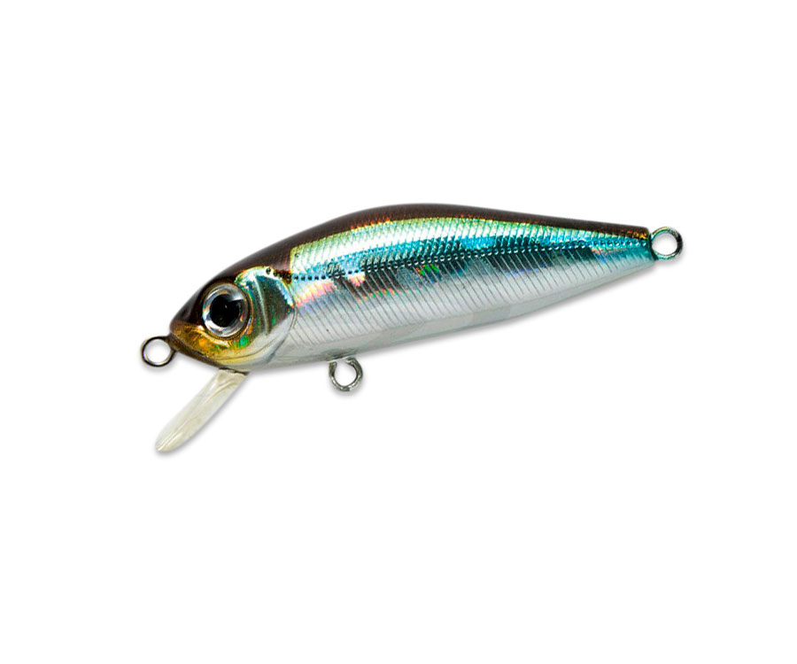 ５’６HYDRODYNAMICA / TEST PILOT SERIES 4889130205_w1280_h640_indikato